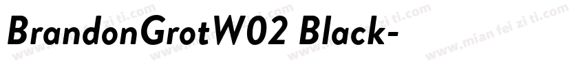 BrandonGrotW02 Black字体转换